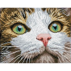 Diamond Dotz - Katze mit grünen Augen