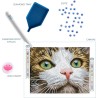 Diamond Dotz - Katze mit grünen Augen