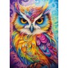 Schmidt Puzzle - Eule im Papageienkleid