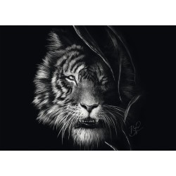 Schmidt Puzzle - Ashley Rader: Wilderness - Tiger, Im Zeichen der Freiheit