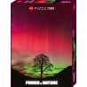 HEYE - Power of Nature, Sycamore Gap