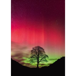 HEYE - Power of Nature, Sycamore Gap