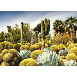 Ravensburger - Beautiful Gardens: The Huntington Desert Garden, California, USA