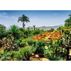 Ravensburger - Beautiful Gardens: Botanischer Garten, Madeira