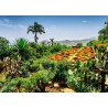 Ravensburger - Beautiful Gardens: Botanischer Garten, Madeira Ravensburger - Beautiful Gardens: Botanischer Garten, Madeira
