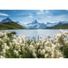 Ravensburger - Switzerland: Bachalpsee Grindelwald