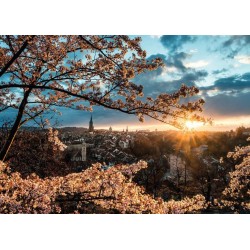 Ravensburger - Switzerland: Kirschblüten in Bern