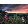 Ravensburger - Power of Nature: Ein Sturm zieht auf