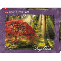 Verpackungsschaden - HEYE - Magic Forests, Guiding Light