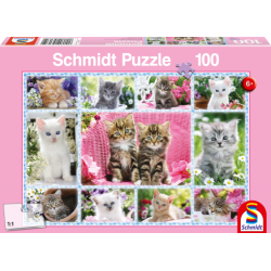 Schmidt Puzzle - Katzenbabys