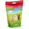 Schleich FARM WORLD 42574 Hühnerfreunde