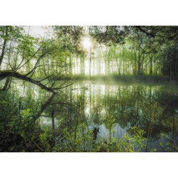 Schmidt - Stefan Hefele, Heimatdschungel