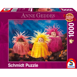 Schmidt - Anne Geddes, Kleine Meeresschätze
