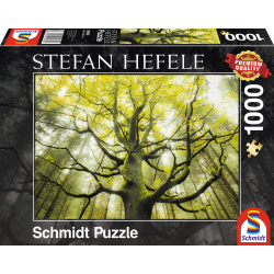 Schmidt - Stefan Hefele, Traumbaum