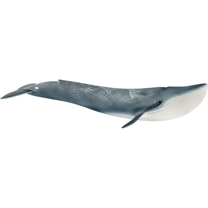 Schleich WILD LIFE 14806 Blauwal