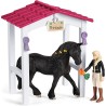 Schleich HORSE CLUB 42437 Pferdebox mit HORSE CLUB Tori & Princess