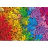 Schmidt Puzzle - Bunter Blätterwald