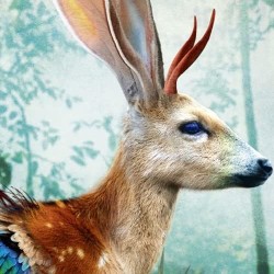 HEYE - Fauna Fantasies, Jackalope