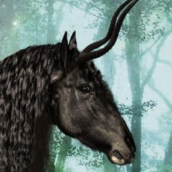 HEYE - Fauna Fantasies, Equpidae