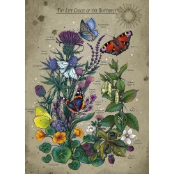 Ravensburger Puzzle - Lebenskreis eines Schmetterlings (1000)