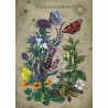 Ravensburger Puzzle - Lebenskreis eines Schmetterlings (1000)