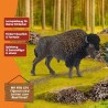 Schleich WILD LIFE 14879 Bison