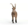Schleich WILD LIFE 14873 Steinbock