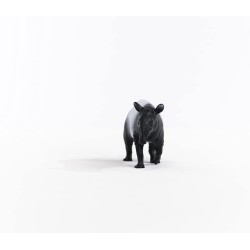 Schleich WILD LIFE 14850 Tapir