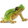 Schleich WILD LIFE 14882 Europäischer Laubfrosch
