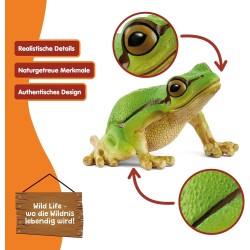 Schleich WILD LIFE 14882 Europäischer Laubfrosch