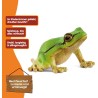 Schleich WILD LIFE 14882 Europäischer Laubfrosch