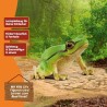 Schleich WILD LIFE 14882 Europäischer Laubfrosch