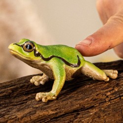 Schleich WILD LIFE 14882 Europäischer Laubfrosch