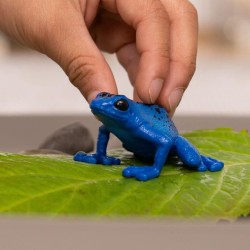 Schleich WILD LIFE 14864 Blauer Pfeilgiftfrosch