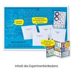 Kosmos - Fun Science Fruchtgummi-Labo