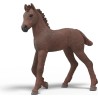 Schleich HORSE CLUB 99178 Weihnachtswunder Fohlenaufzucht Adventskalender Schleich HORSE CLUB 99178 Weihnachtswunder Fohlenaufzucht Adventskalender