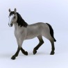 Schleich HORSE CLUB 13955 Cheval de Selle Francais Stute