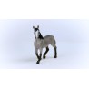 Schleich HORSE CLUB 13956 Cheval de Selle Francais Hengst
