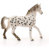 Schleich HORSE CLUB 13889 Knabstrupper Hengst