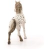 Schleich HORSE CLUB 13889 Knabstrupper Hengst