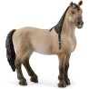 Schleich HORSE CLUB 13948 Criollo Definitivo Stute