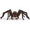 schleich HARRY POTTER 13987 Aragog