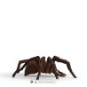 schleich HARRY POTTER 13987 Aragog