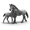Schleich HORSE CLUB 42776 Lisa's Turnier Training