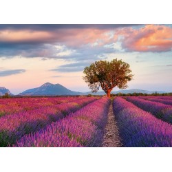 Ravensburger Puzzle - Lavendelfeld zur goldenen Stunde