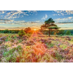 Schmidt Puzzle - Heide im Sonnenuntergang (1000)