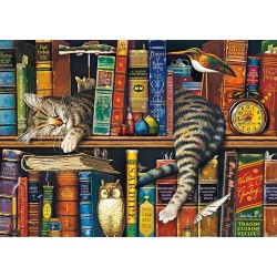 Schmidt Puzzle - Charles Wysocki, Frederick, der Literat (1000)