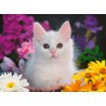 Ravensburger Puzzle - GLITTER: Glitzerkatze (100)