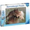 Ravensburger Puzzle - Schöne Pferde (150)