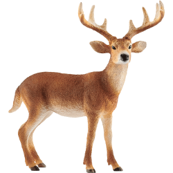 Schleich WILD LIFE 14818 Weisswedelhirsch